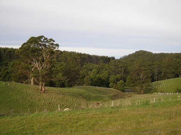 066 Great Ocean Road