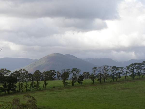 030 Tarrawarra Abbey