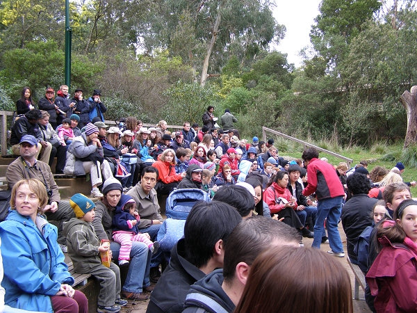 070 Healesville Sanctuary