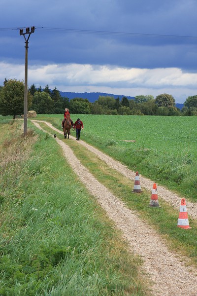 Dětský den